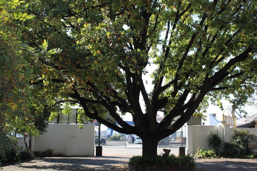  Bedroom Property for Sale in Potchefstroom North West